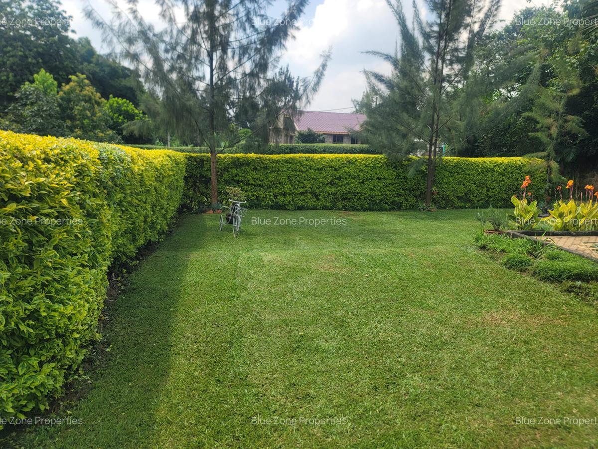 3 Bed Townhouse with En Suite at Ibis Crescent - 5