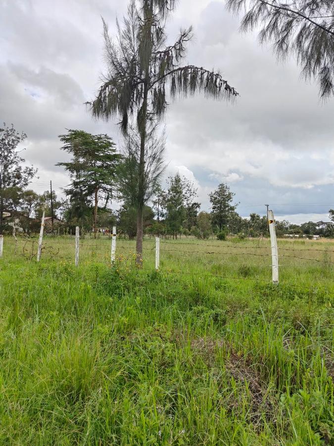 5 ac Land at Karen C - 18