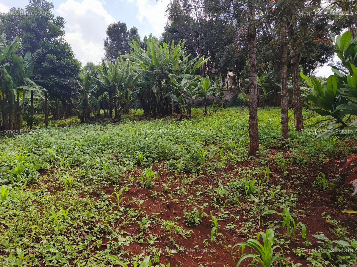 Land at Runda - 4