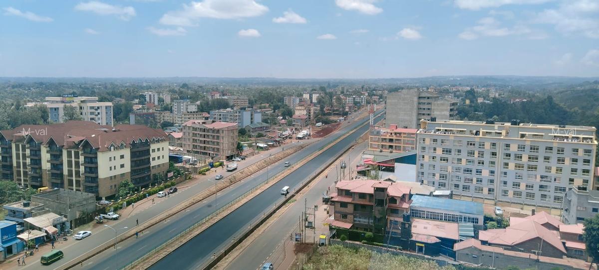 1 Bed Apartment with Backup Generator in Ruaka - 3