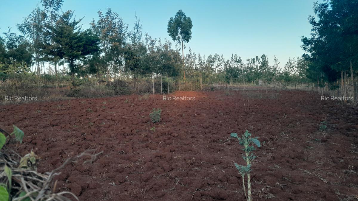 0.25 ac Residential Land at Kibiko - Ngong - 3