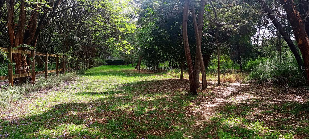 10 ac Land in Karen - 5