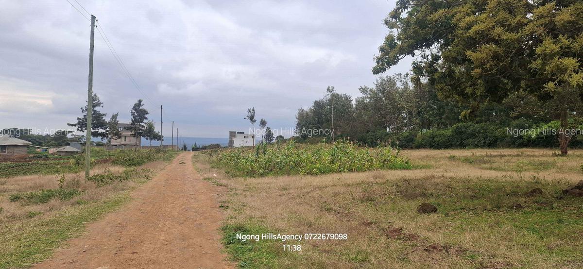 Residential Land in Ngong - 6