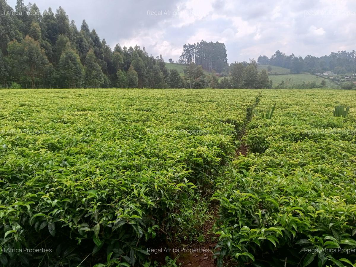 1 ac Land at Riara Ridge - 4