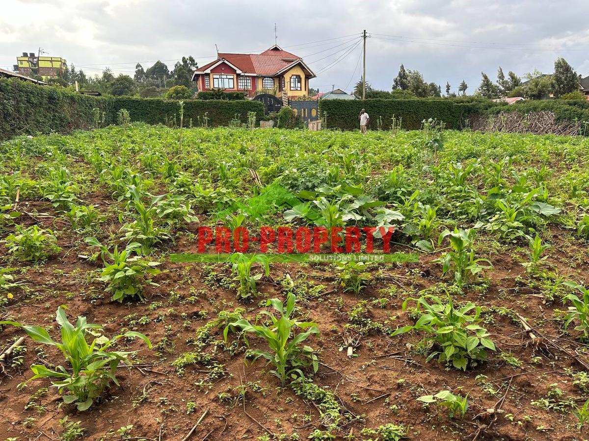 0.15 ha Residential Land at Kamangu - 4