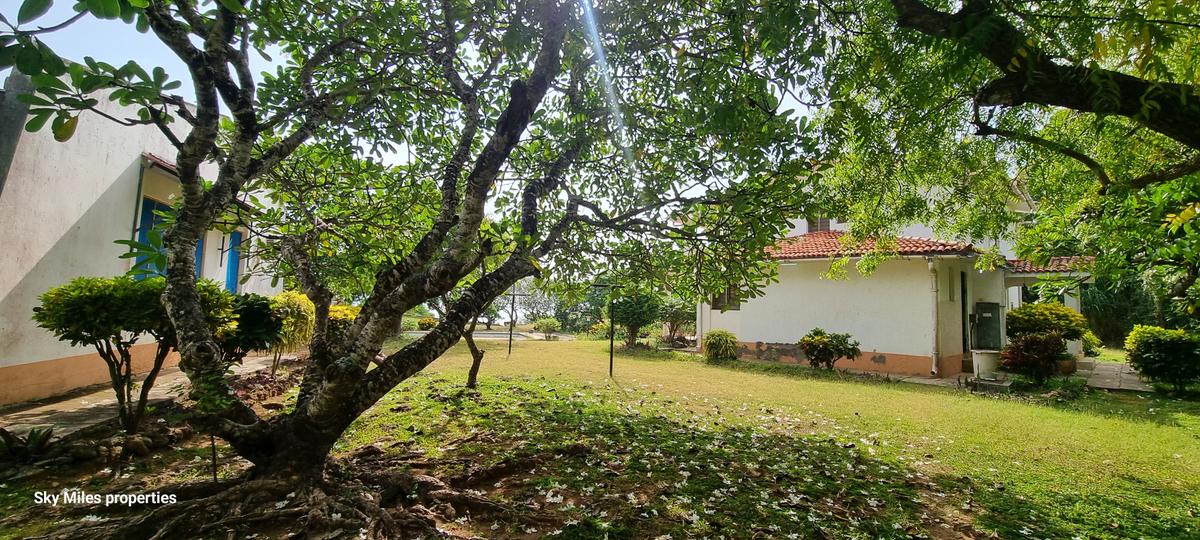 4.4 ac Land at Kuruwitu - 8