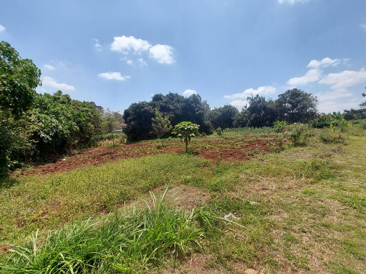 Residential Land at Kinanda Road - 8