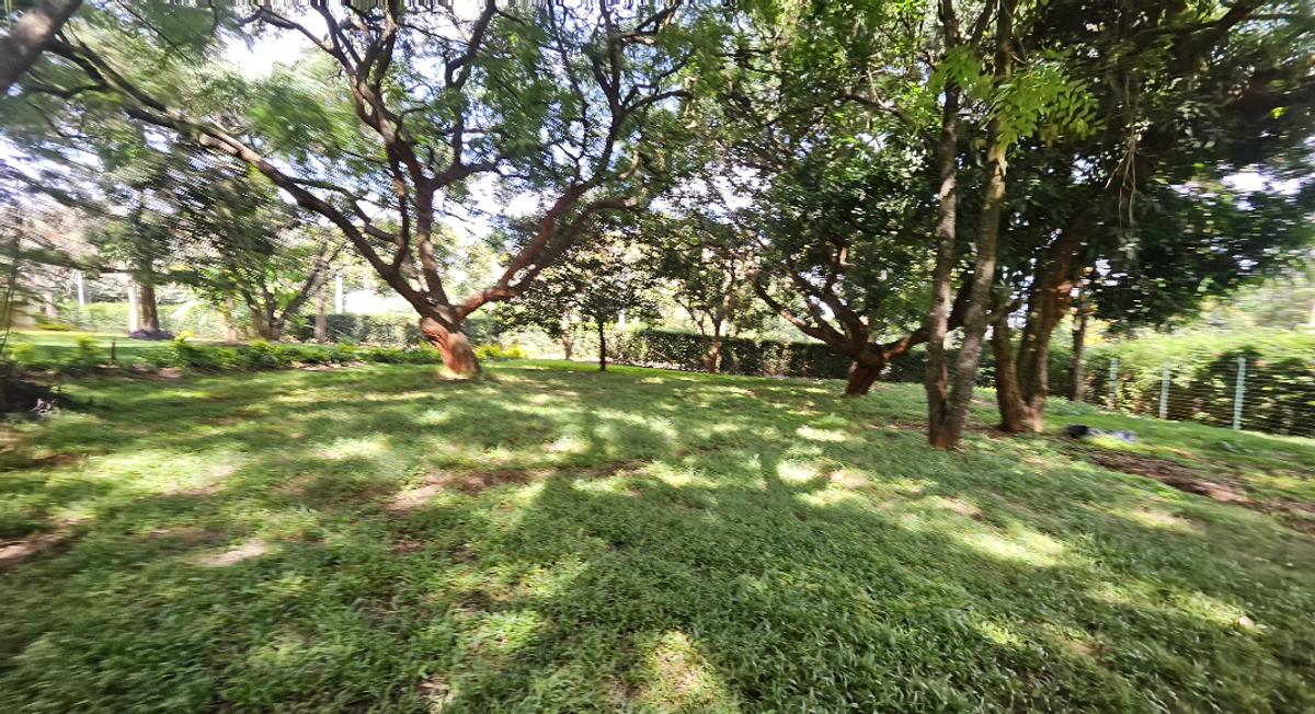 4 Bed House with Staff Quarters at Old Runda - 10