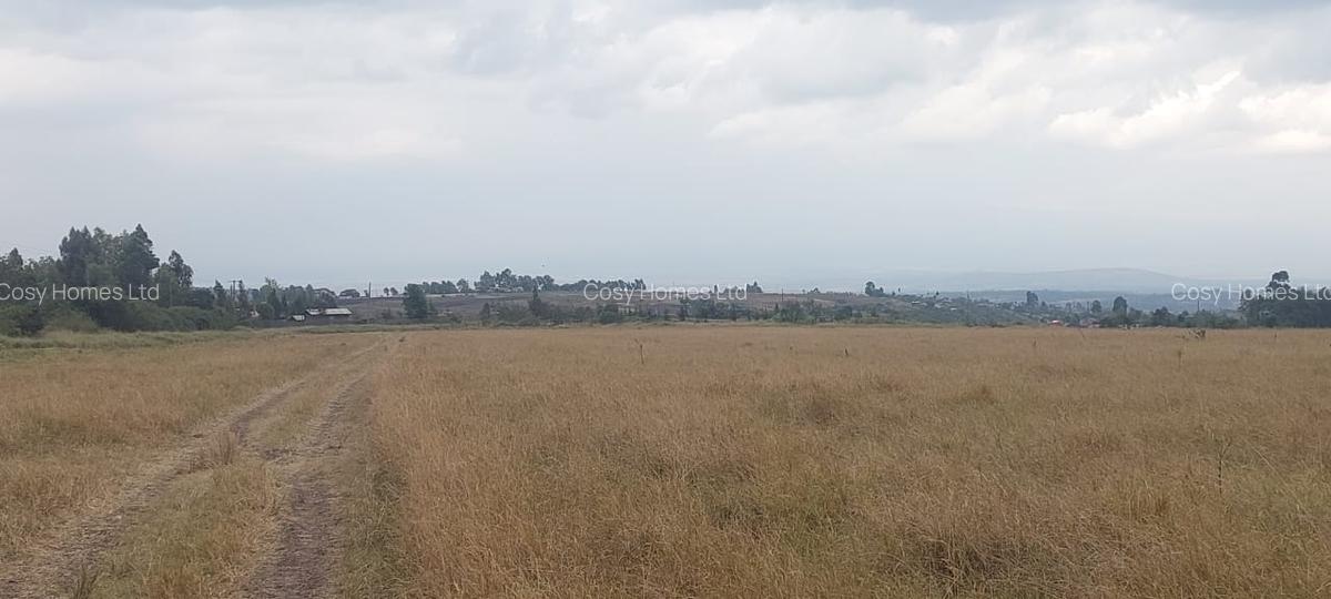 Residential Land at Kentraco - 5