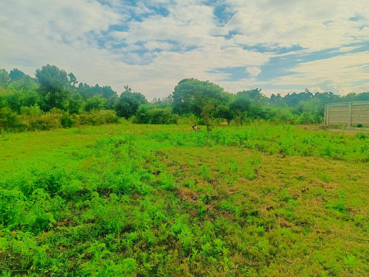 500 m² Residential Land at Jambu Tv Neighborhood - 3