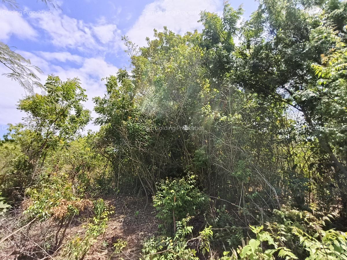 Residential Land at Galu - 4