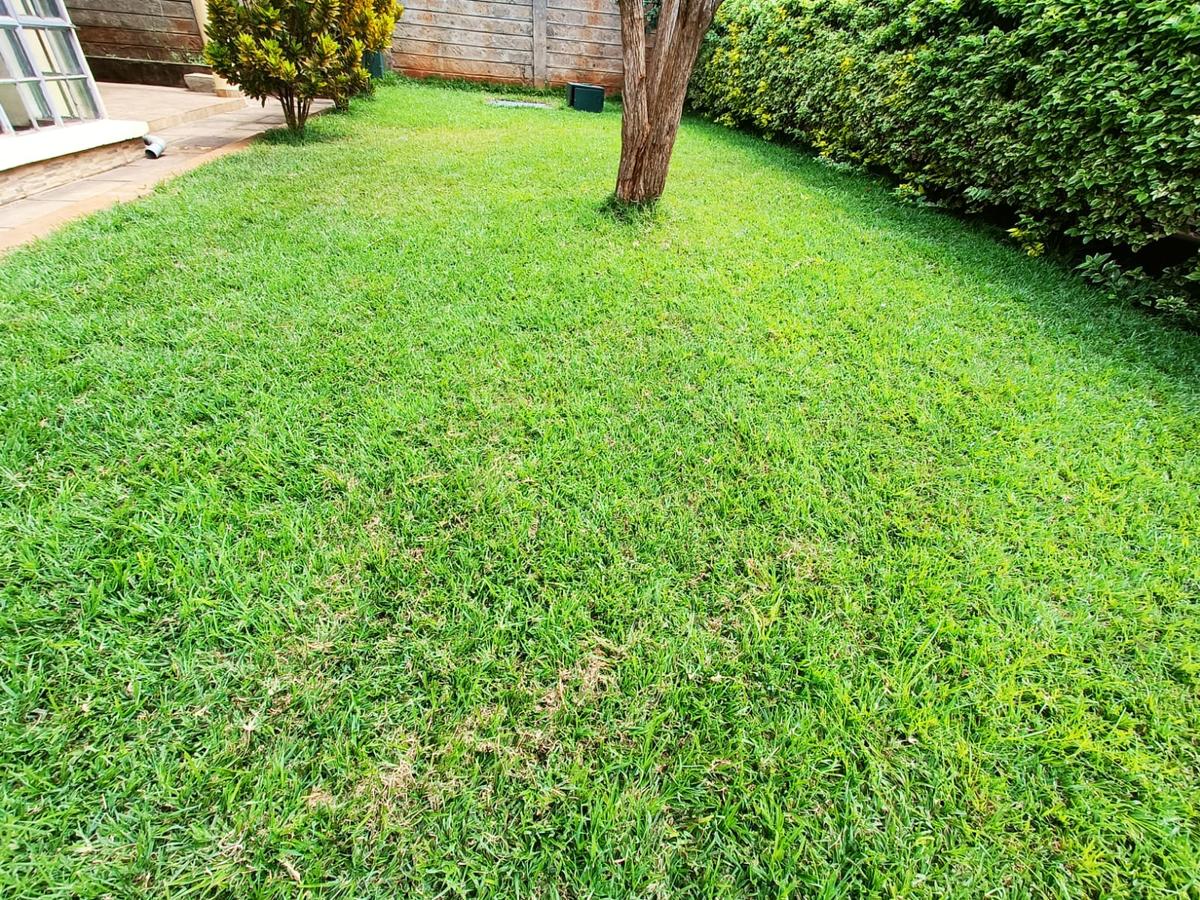 5 Bed Townhouse with En Suite in Lavington - 19