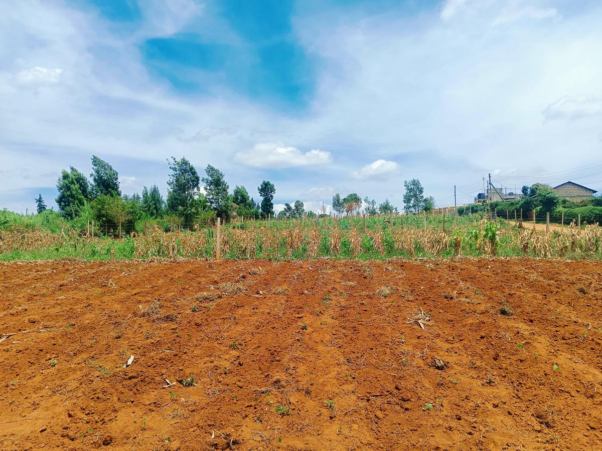 1,000 m² Residential Land at Kwa-Ngando - 5