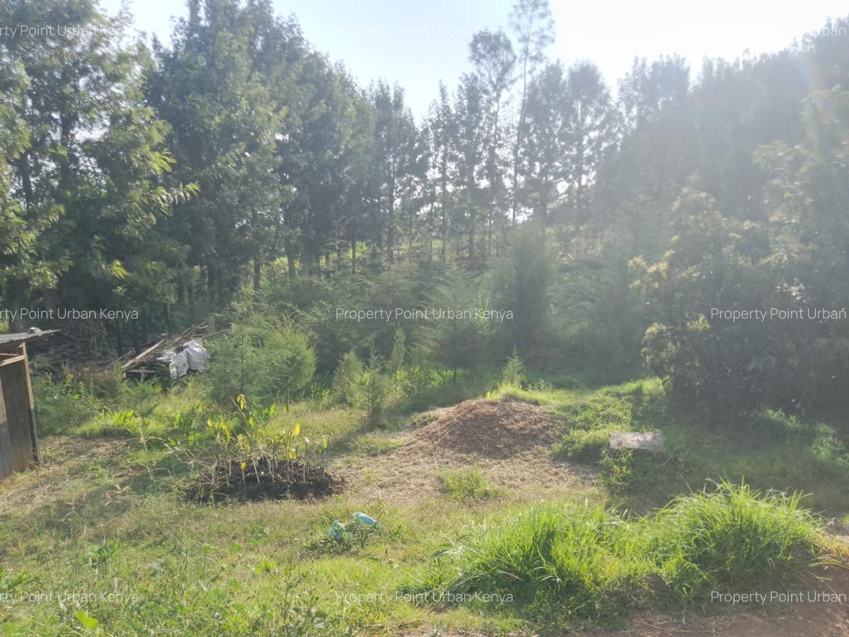 2.5 ac Land at Village (Mbiriri Muthaiga) - 14
