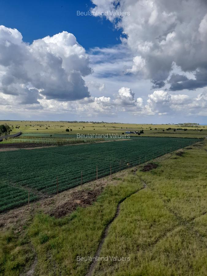 0.125 ac Land in Kisaju - 6