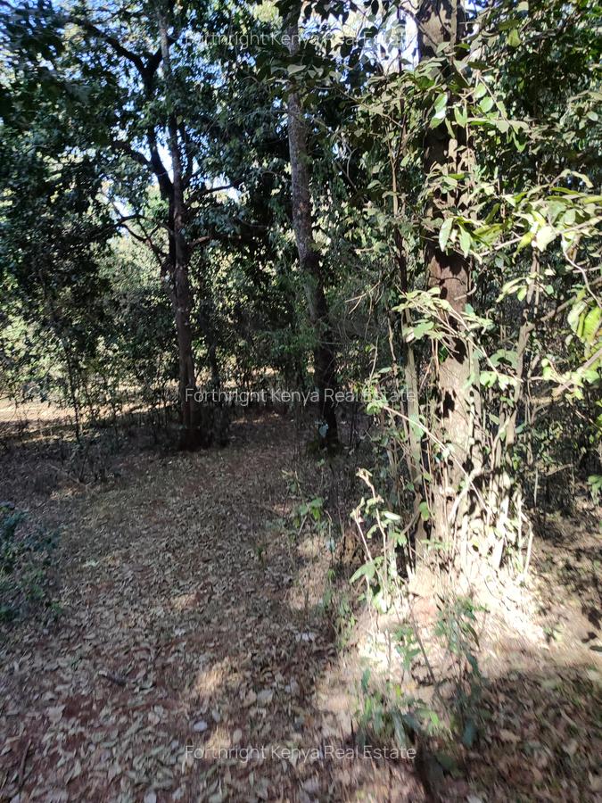 0.5 ac Land at Hardy - 11