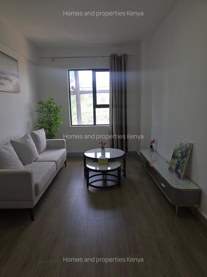 Furnished Studio Apartment with En Suite in Juja - 2