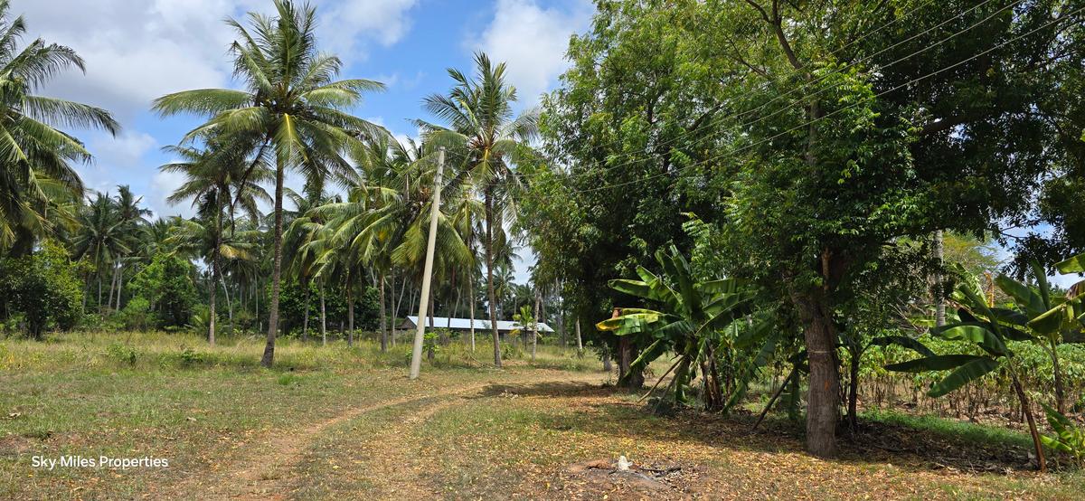 6 ac Land at Bomani - 8