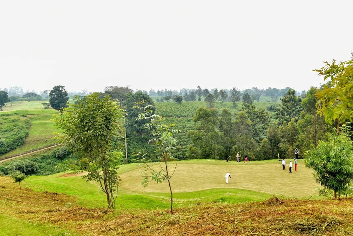 Land in Kiambu Road - 3