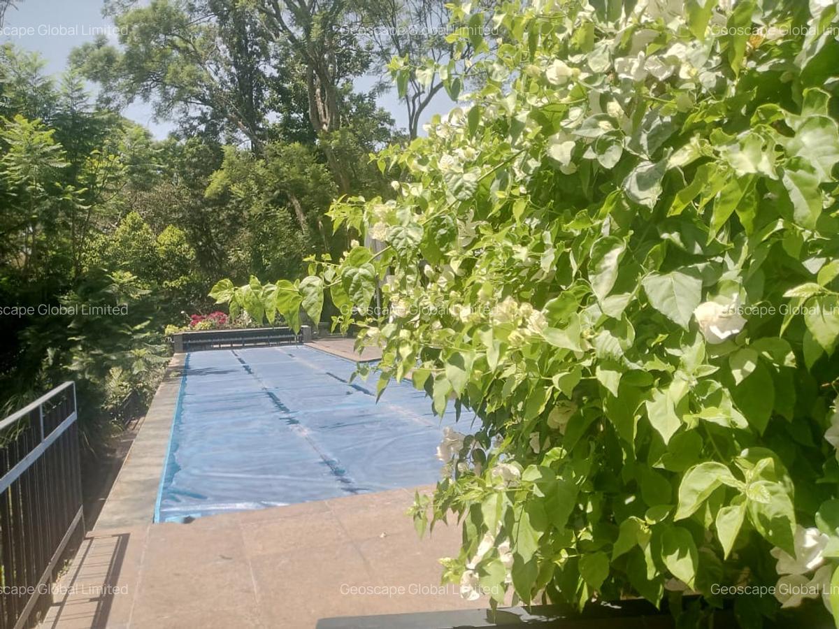 Furnished 2 Bed Apartment with En Suite in Gigiri - 4