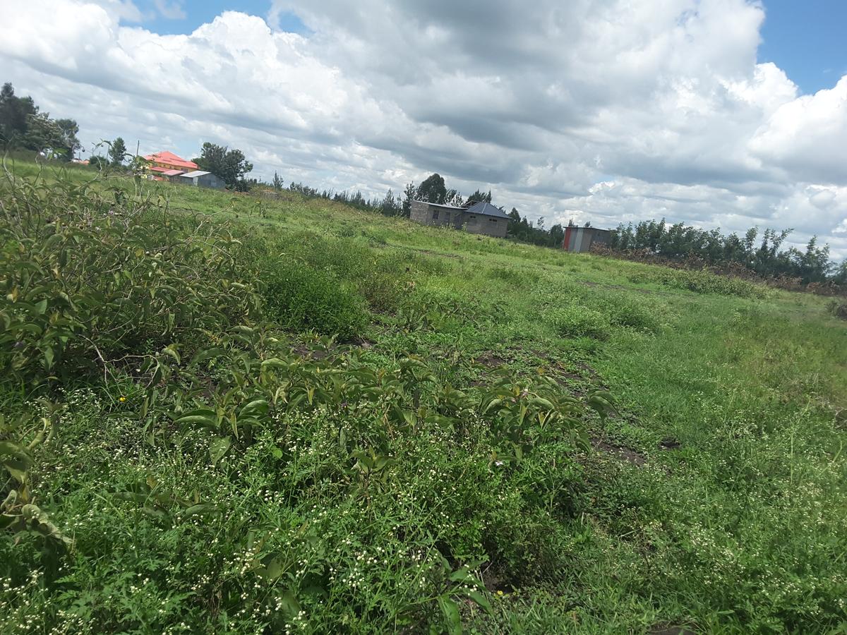 0.1 ha Residential Land in Ongata Rongai - 10