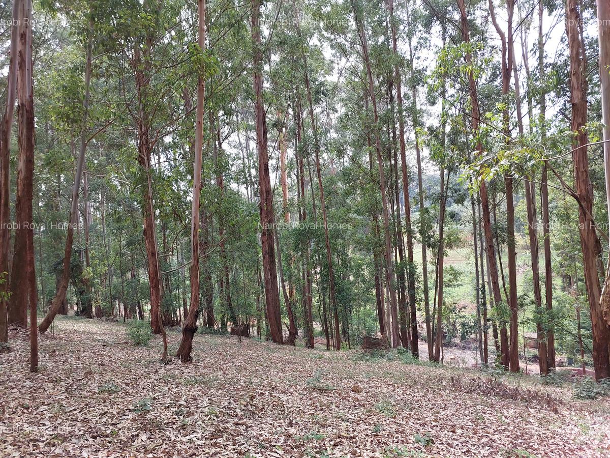 Residential Land at Rosslyn Redhill Road - 11