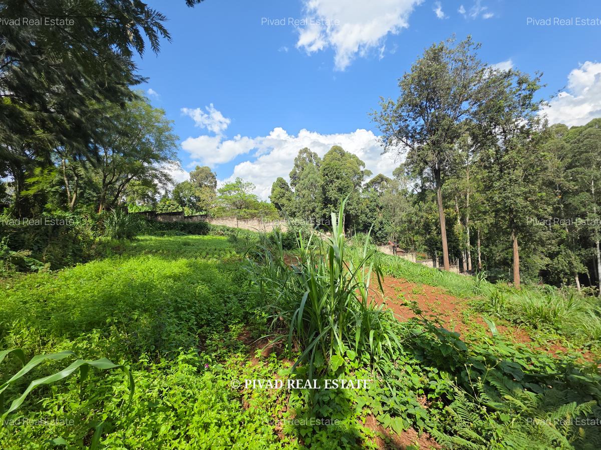 2.3 ac Land in Kitisuru - 3