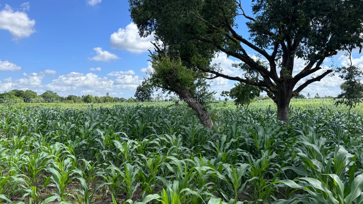 464 m² Land at Mavueni - 3
