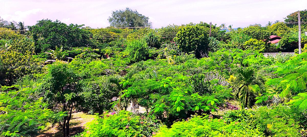 4 Bed House with En Suite at Kuruwitu Beach - 14