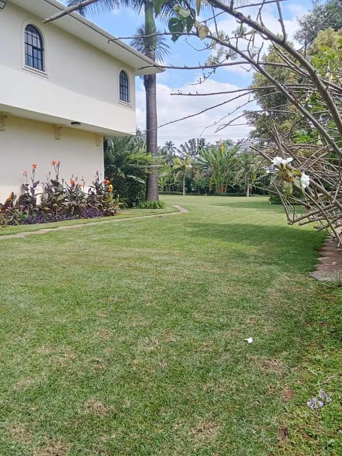 5 Bed House with En Suite at Nyari - 4