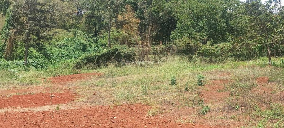 0.5 ac Residential Land at Muthithi - 12