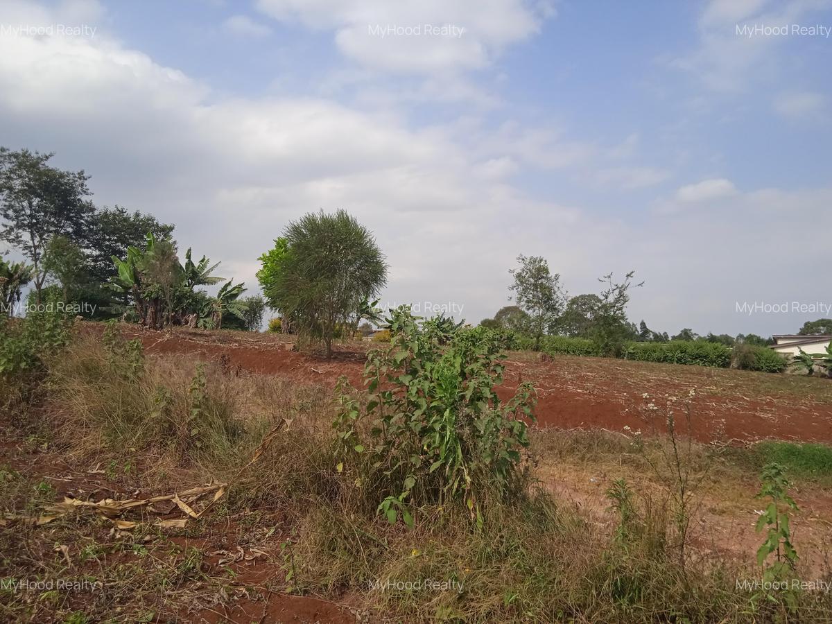 Land in Tigoni - 2