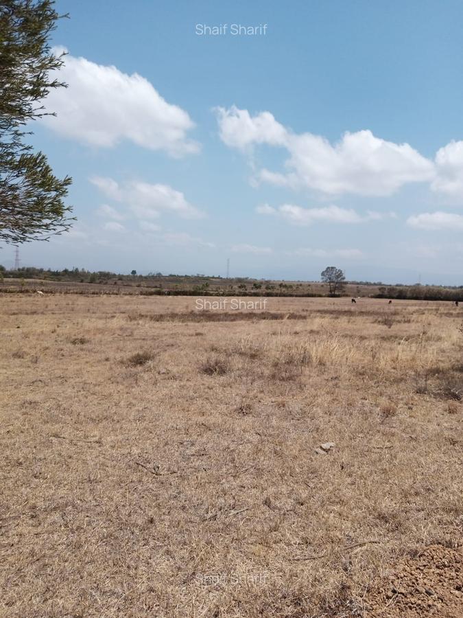 6 ac Land in Naivasha - 7