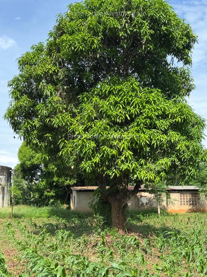 Land in Kikambala - 3