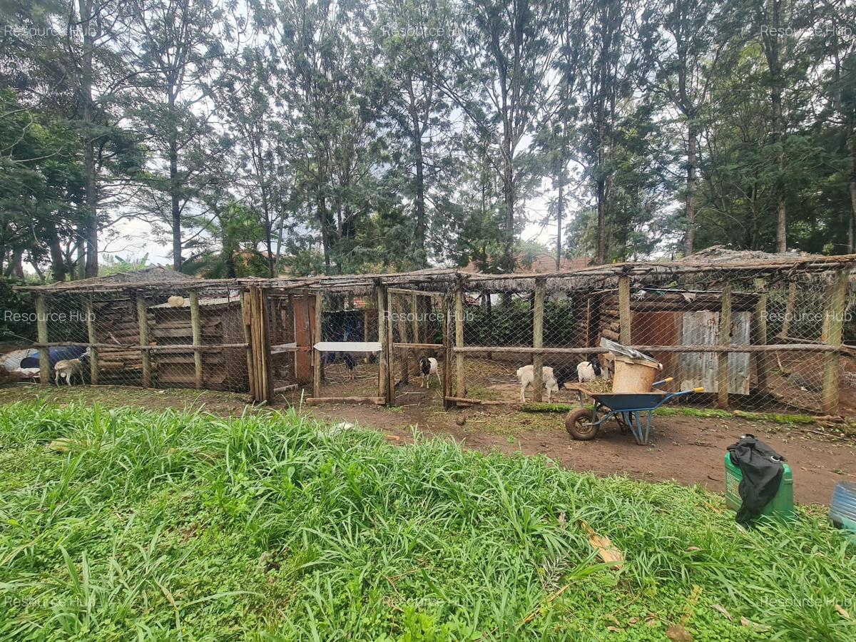 Commercial Property with Garden at Bomas - 2