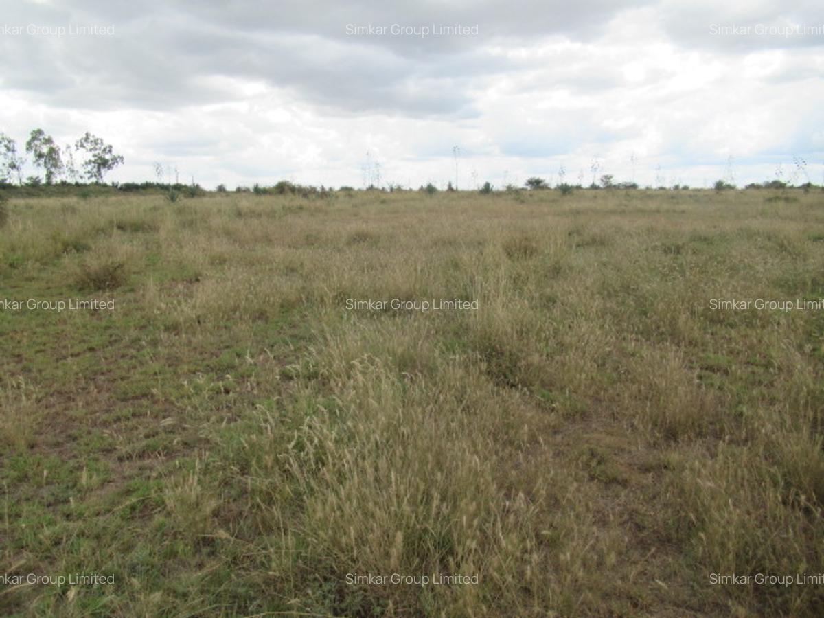 Land at Ngelani - 10