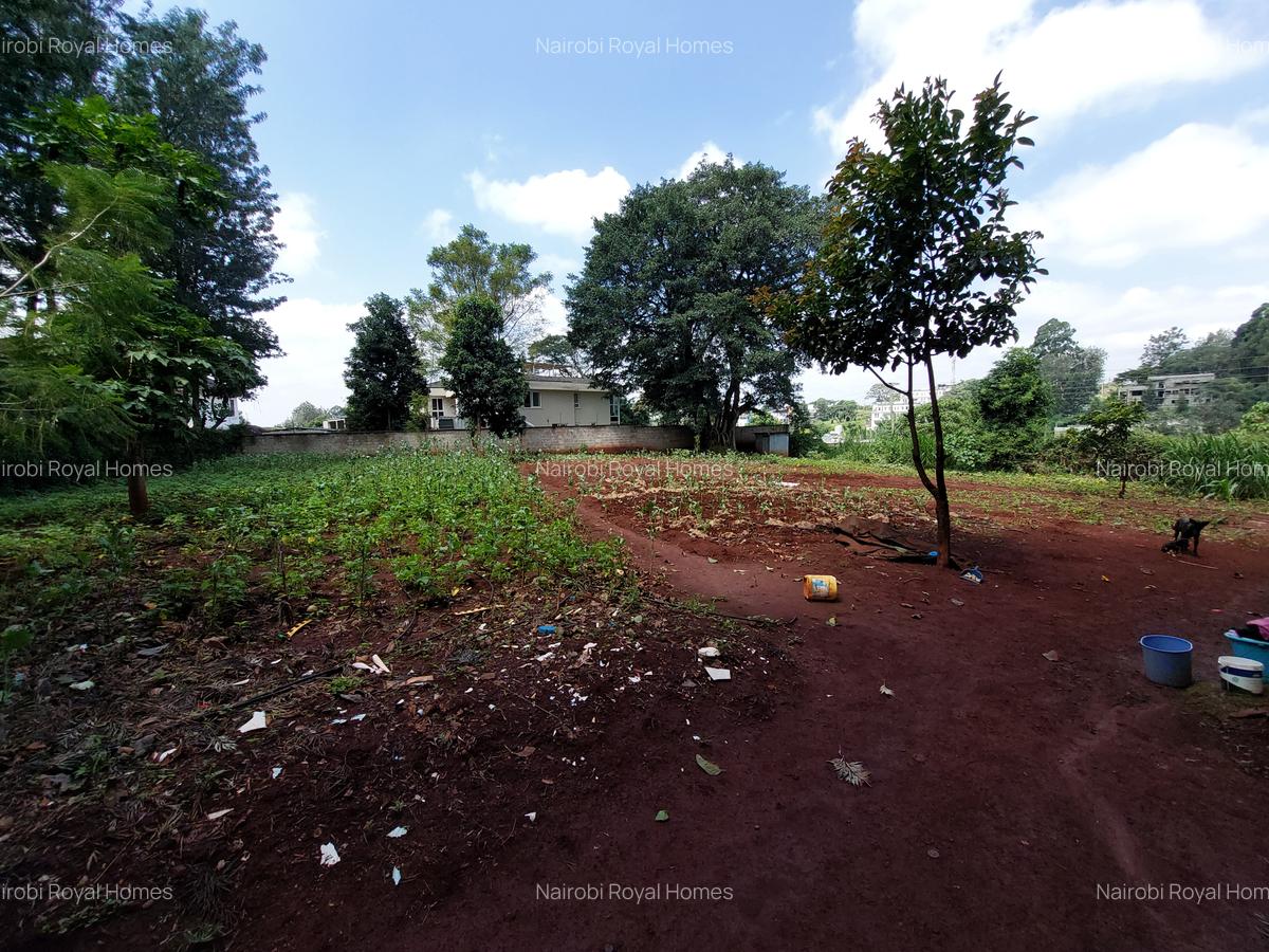 Residential Land at Kirawa Road - 4