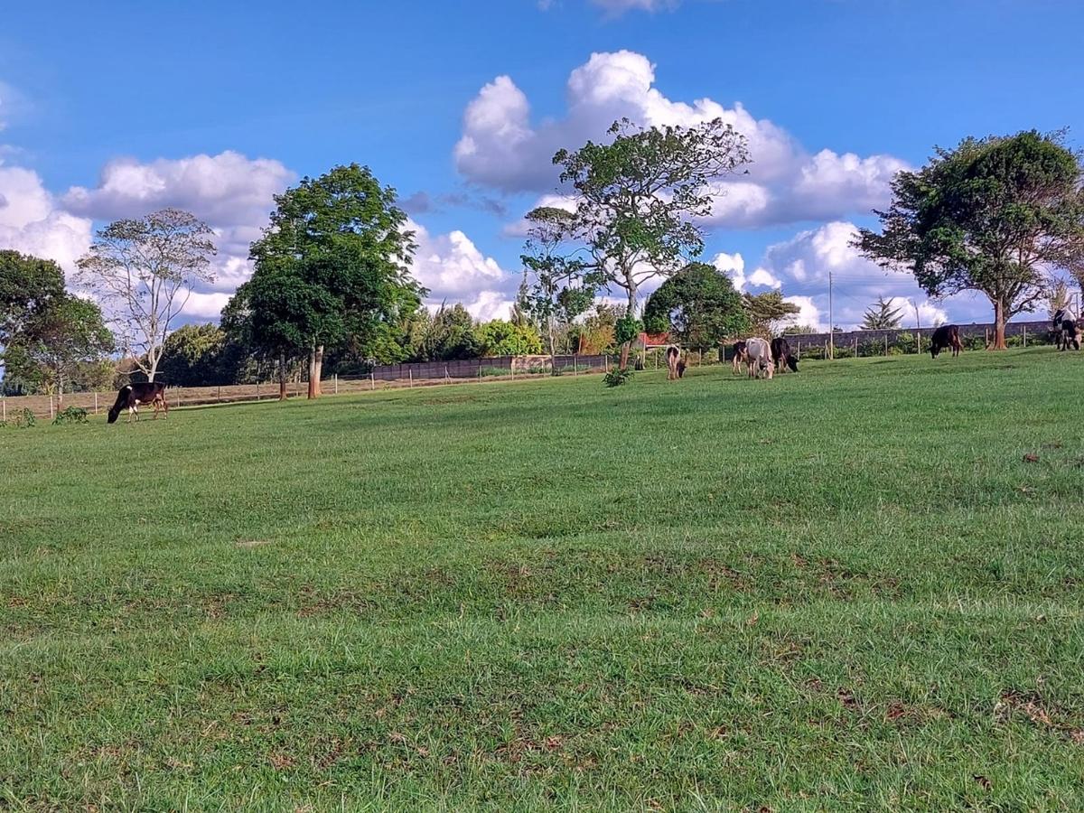 21 ac Land in Tigoni - 7