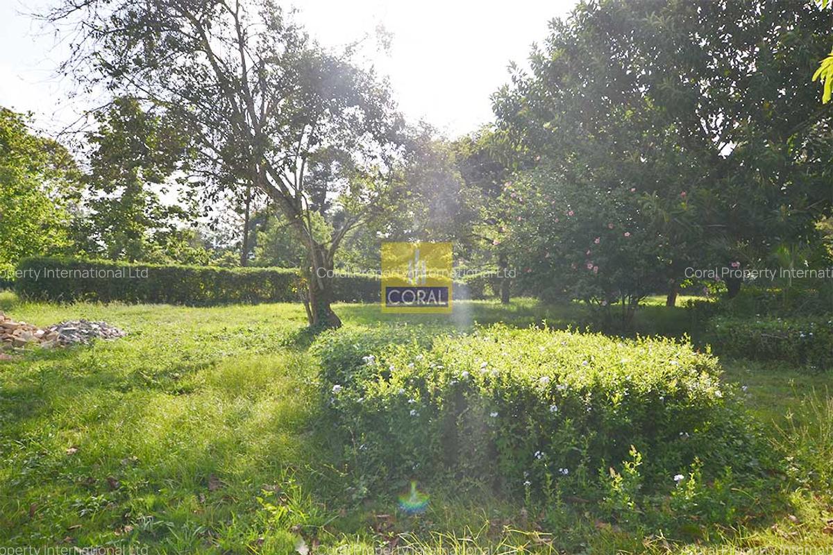 Office with Garden in Rosslyn - 8