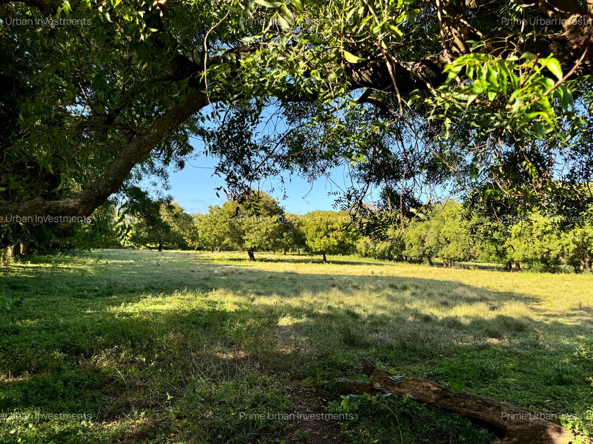 Land in Vipingo - 12