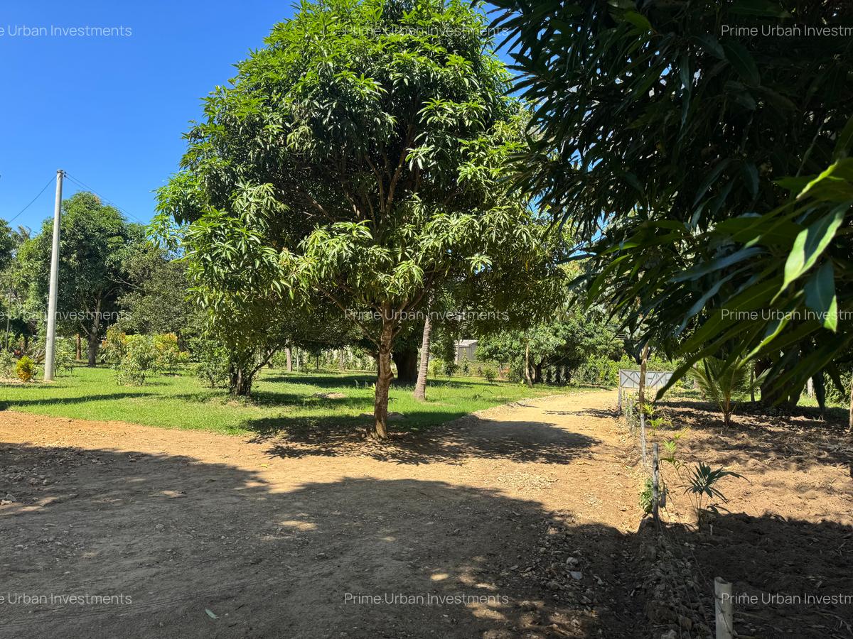 Land in Mtwapa - 6