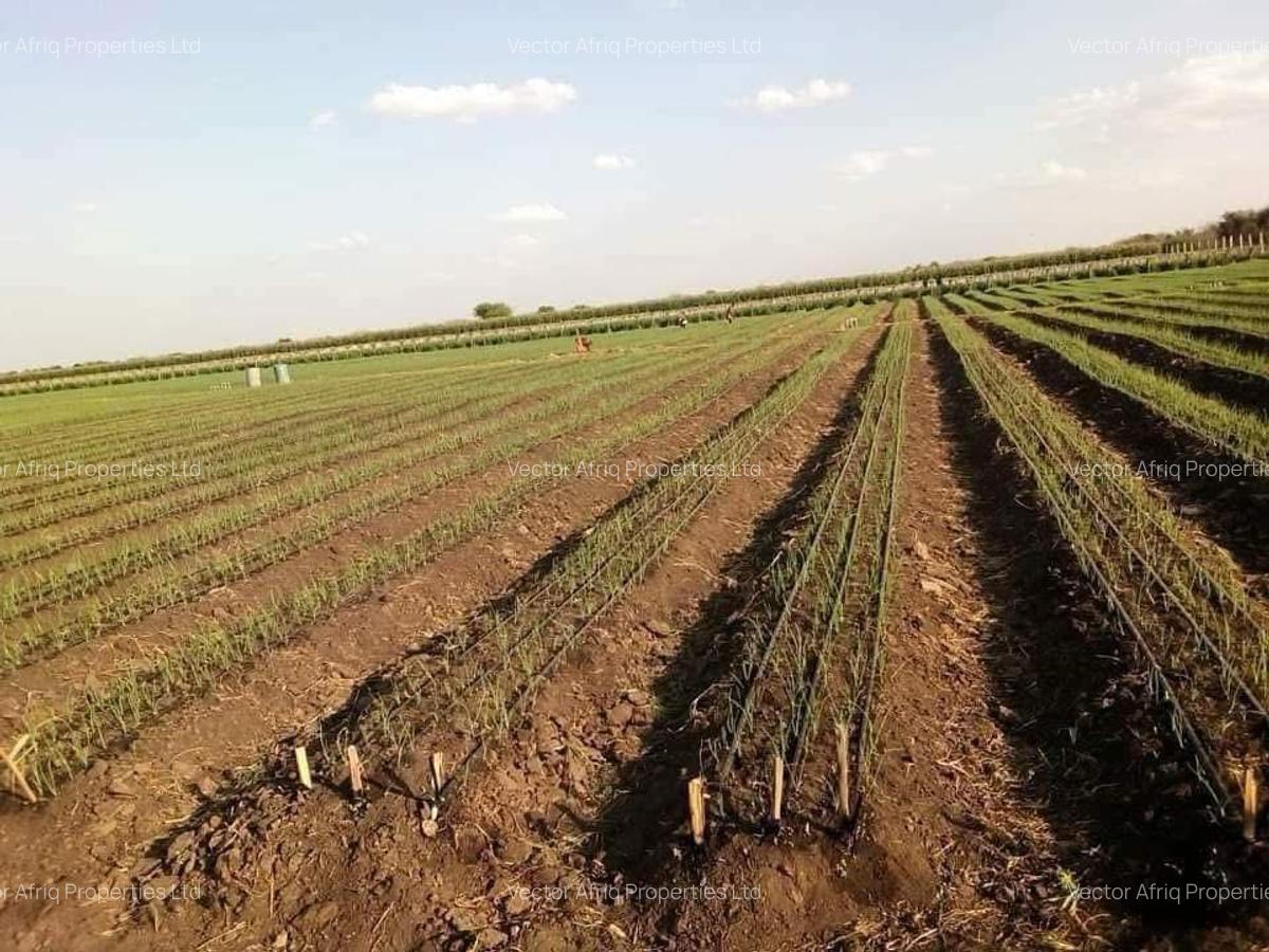 Land in Bisil - 2