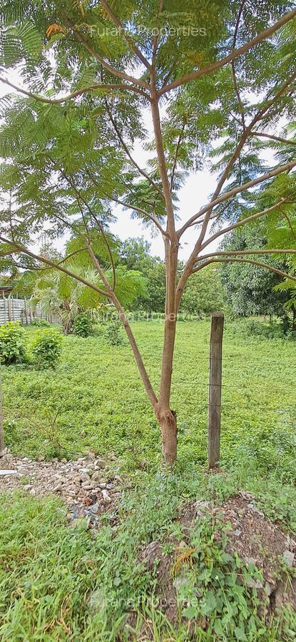Land at Mtwapa - 3