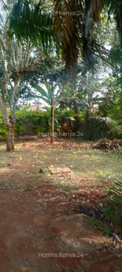 3 Bed House in Runda - 2