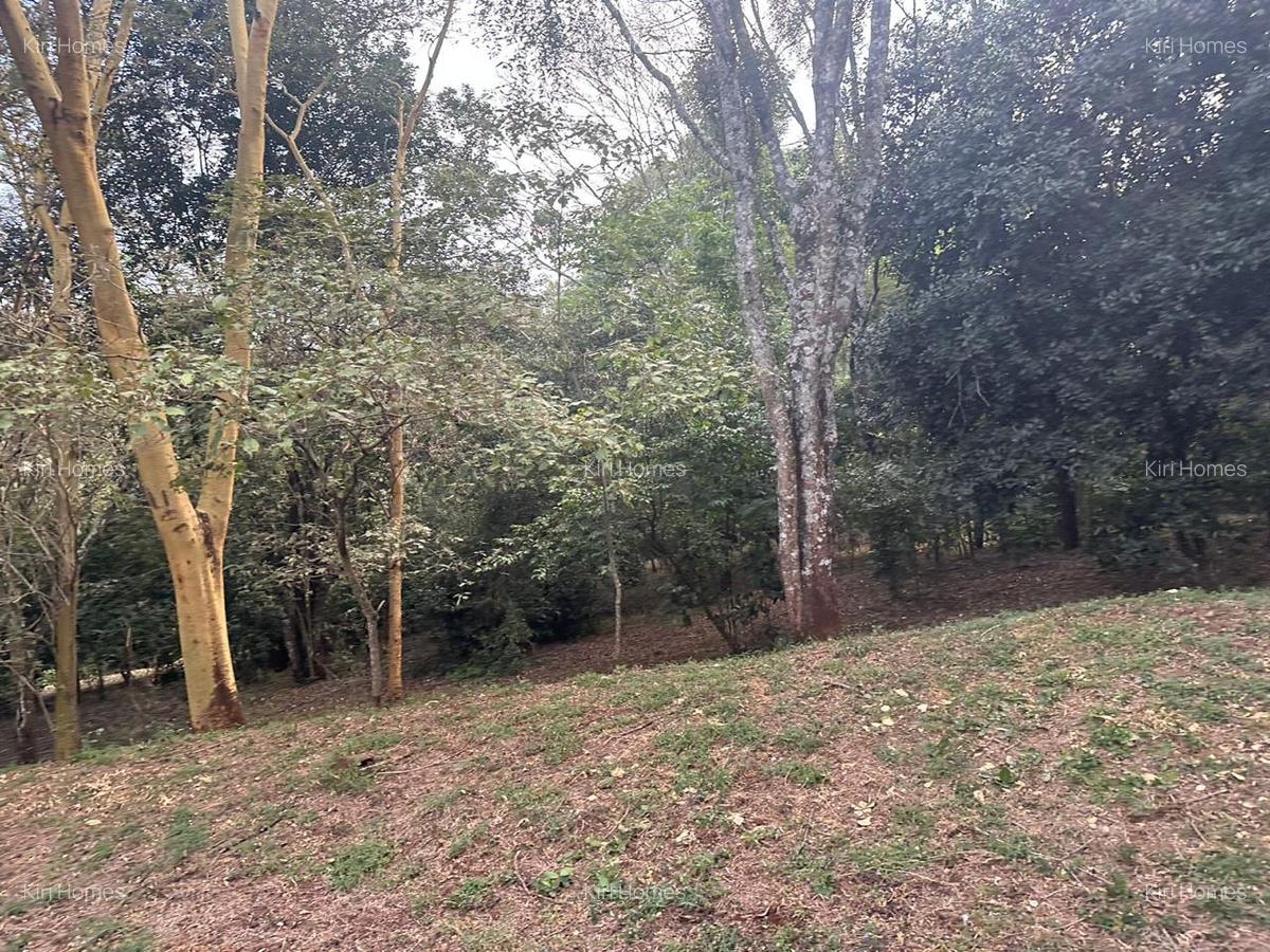 Land in Karen - 7