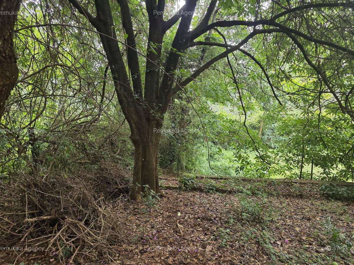 Residential Land in Kitisuru - 6