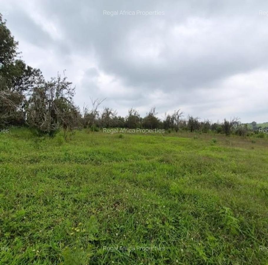 3 ac Land at Nazareth Road - 2