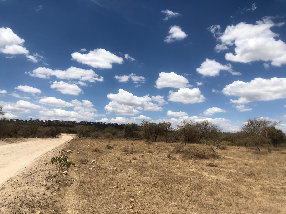 Land in Kajiado - 4