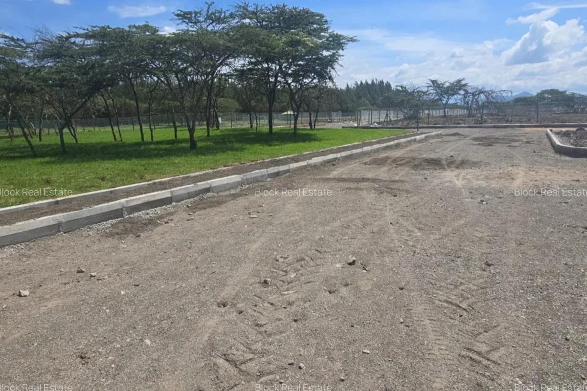 0.25 ac Residential Land in Nanyuki - 2