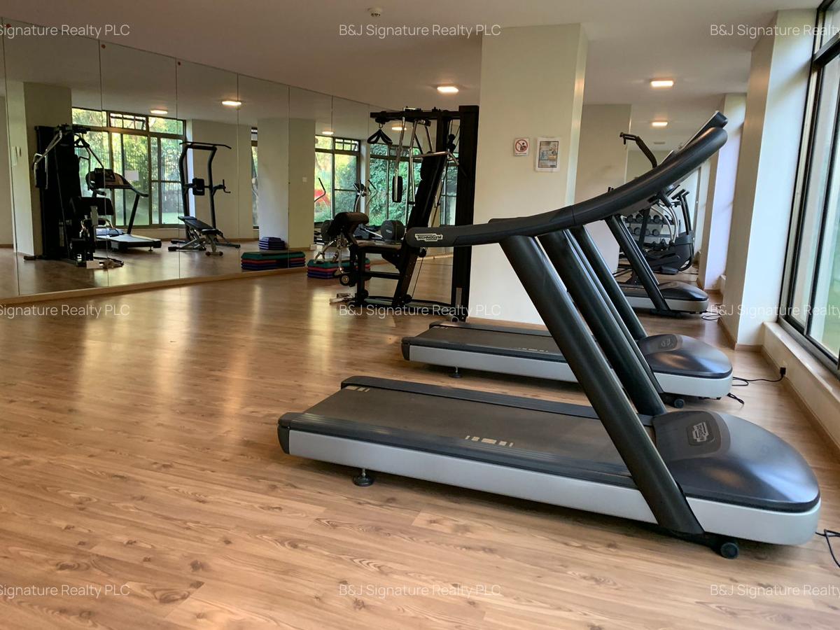 3 Bed Apartment with En Suite in Muthaiga - 10